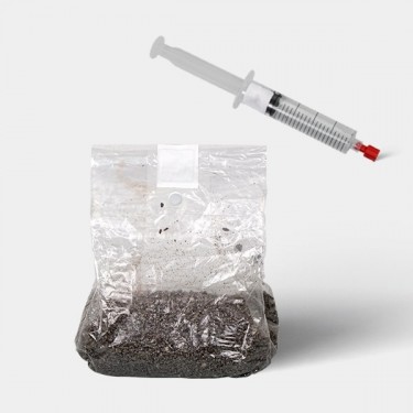 View Microscopic Spore Study Kit (Bag Included)