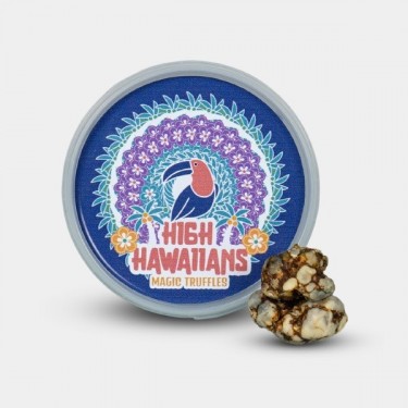 &lsquo;High Hawaiians&rsquo;