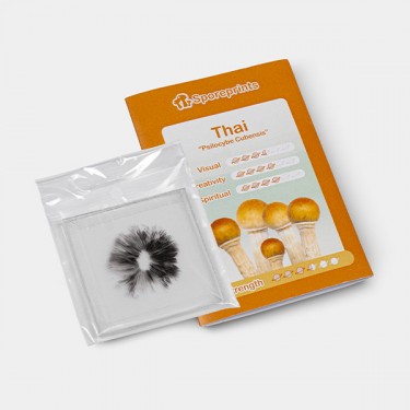 Impress&atilde;o de Esporos Thai