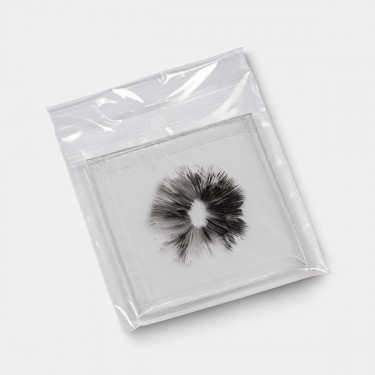 Impresi&oacute;n de Esporas Thai detalle