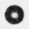 McKennaii Spore Print