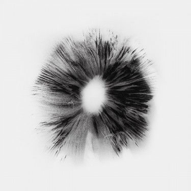 View Stampa di Spore Thai