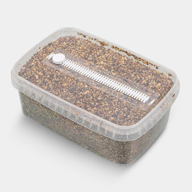 Substrato da coltivazione per Funghi  | Smartshop Love