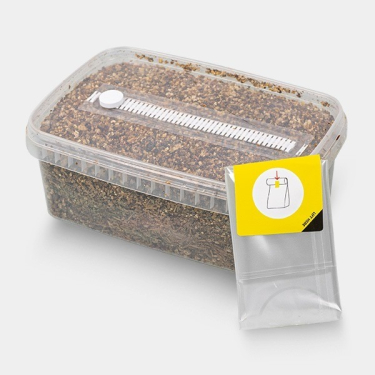 View Substrato da coltivazione per Funghi  | Smartshop Love