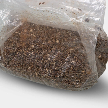 Sac de culture pour champignons magiques | Smartshop Love
