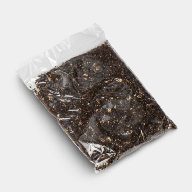 Kit de Cultivo Setas Bluey Vuitton sustrato a&ntilde;adido