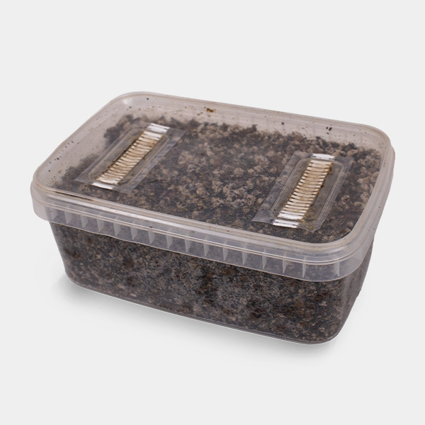 Magic Mushroom Growing Substrate | Smartshop Love