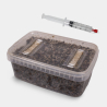 Microscopic Spore Study Kit (Tupper Included)