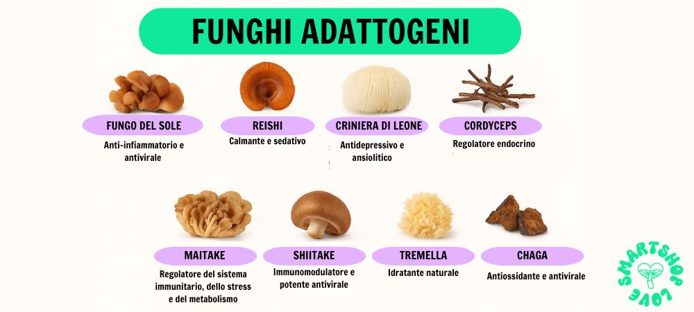funghi adattogeni