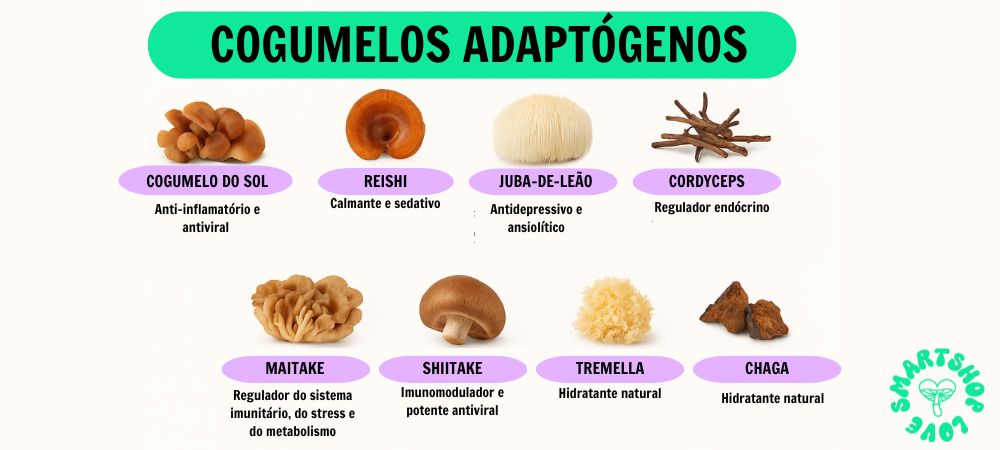 Infográfico sobre cogumelos adaptogénicos, como reishi, crista de leão, cordyceps, shiitake e chaga, com as suas utilizações tradicionais