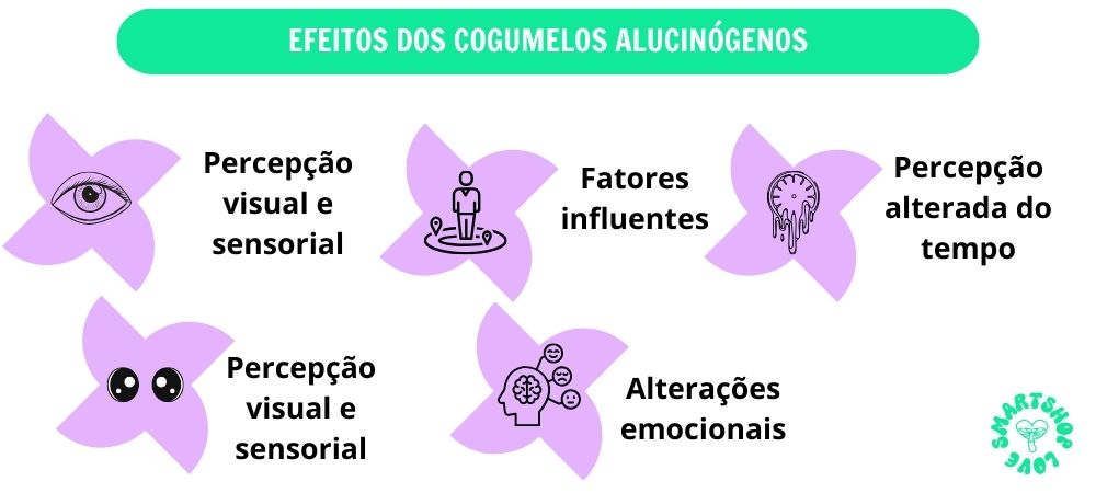 efeitos têm os cogumelos alucinógenos no organismo