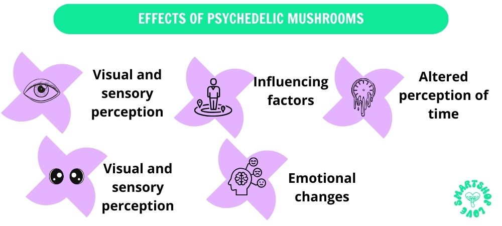 effects of hallucinogenic mushrooms