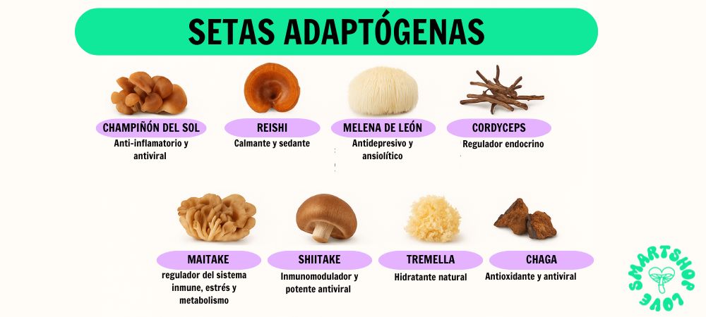 Infografía sobre setas adaptógenas como reishi, melena de león, cordyceps, shiitake y chaga, con sus usos tradicionales