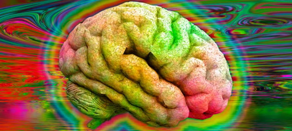 Ilustração de um cérebro iluminado com cores psicadélicas sobre um fundo distorcido, representando como a psilocibina altera a perceção e a atividade neuronal