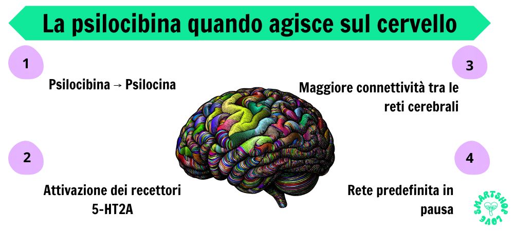 effetti psilocibina