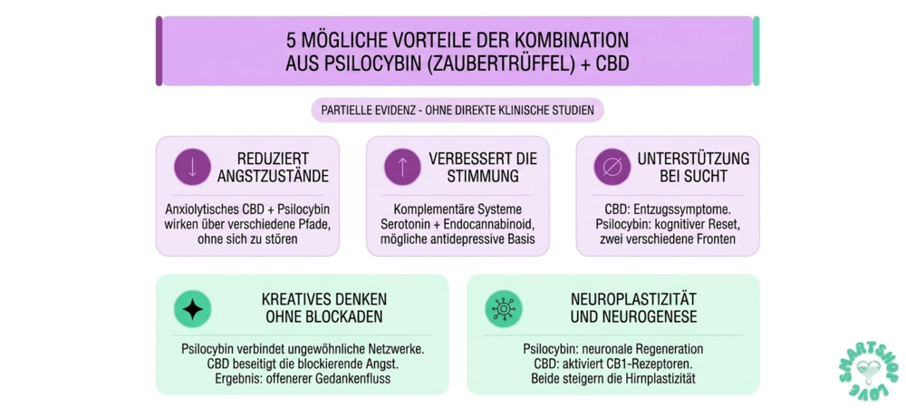 Infografik zu den 5 möglichen Vorteilen der Kombination von Zaubertrüffeln mit CBD