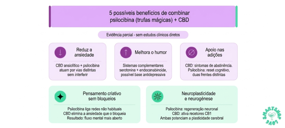 Infografia dos 5 possíveis benefícios de combinar trufas mágicas com CBD
