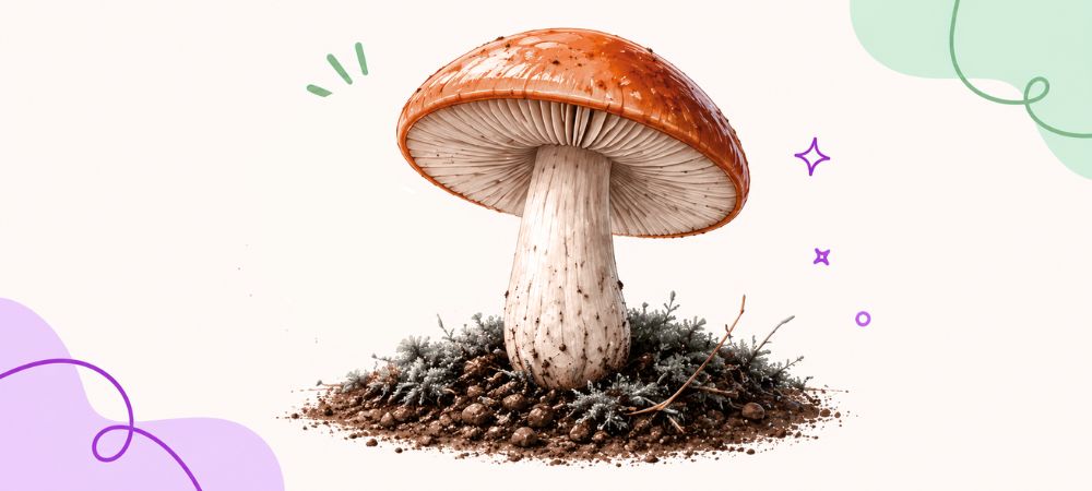seta mágica rodeada de colores vivos en representación a la psilocibina